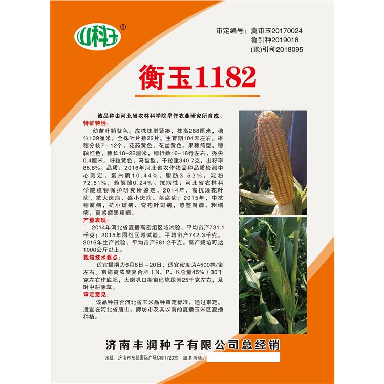 高产玉米种子衡玉1182 耐旱 耐高温