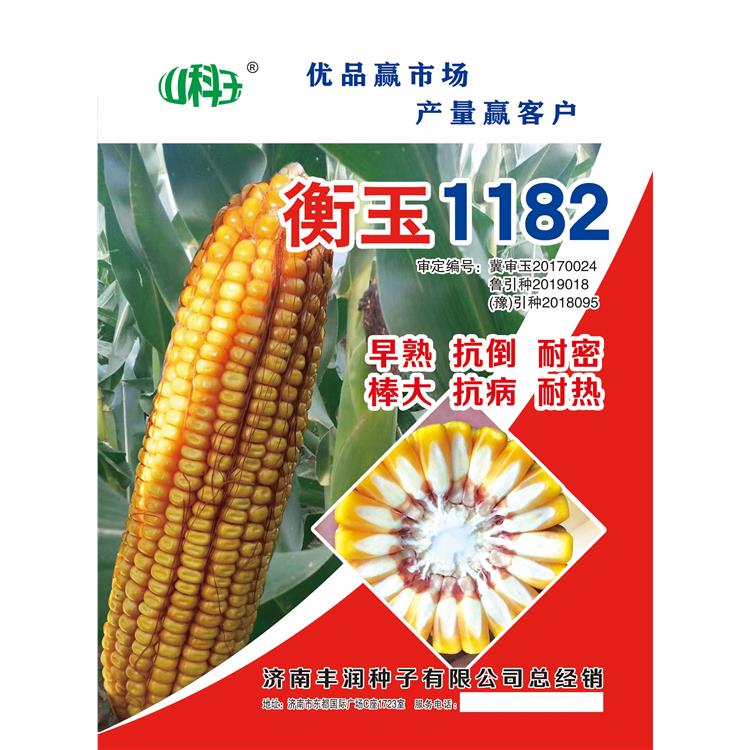 高产玉米种子玉丰820
