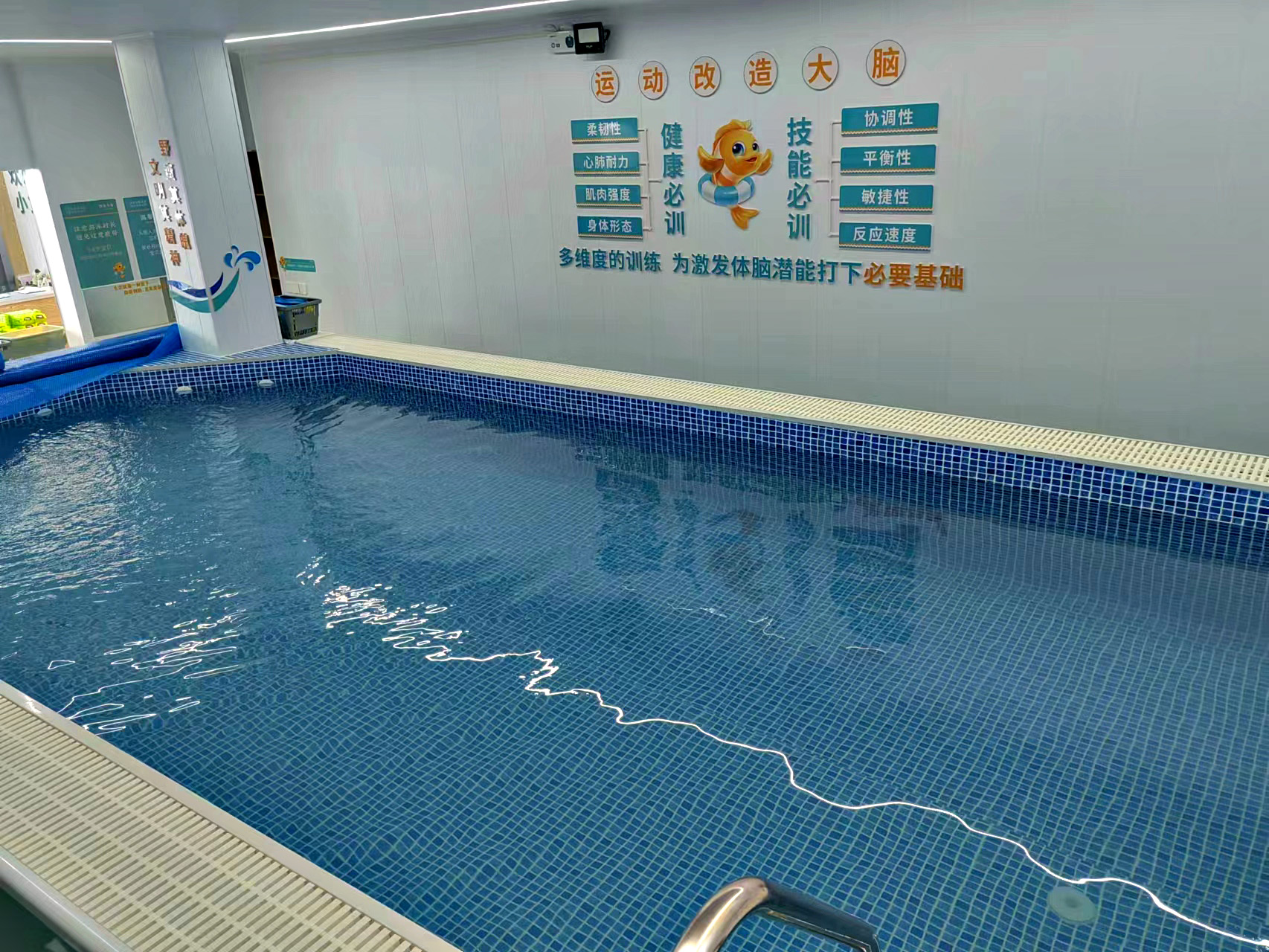 室内恒温游泳池全国安装 拼装式钢结构组装泳池