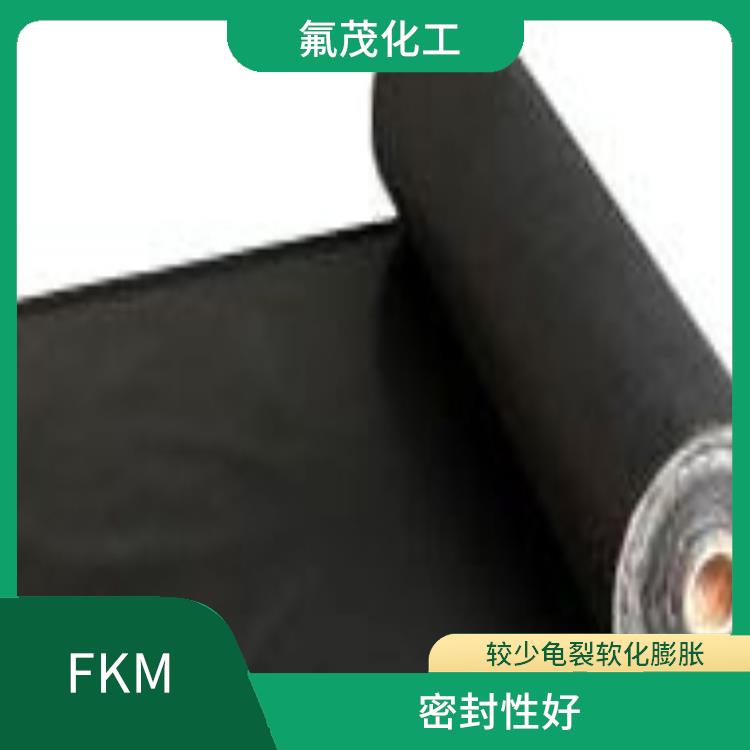 FKM樹脂 耐磨損性能好 耐高溫性好