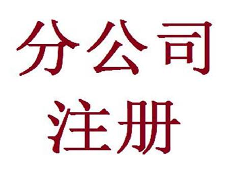 天津红桥区注册公司申请理标准