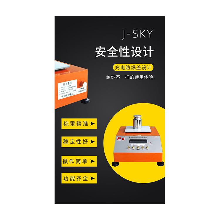 酒泉防爆电子秤厂家