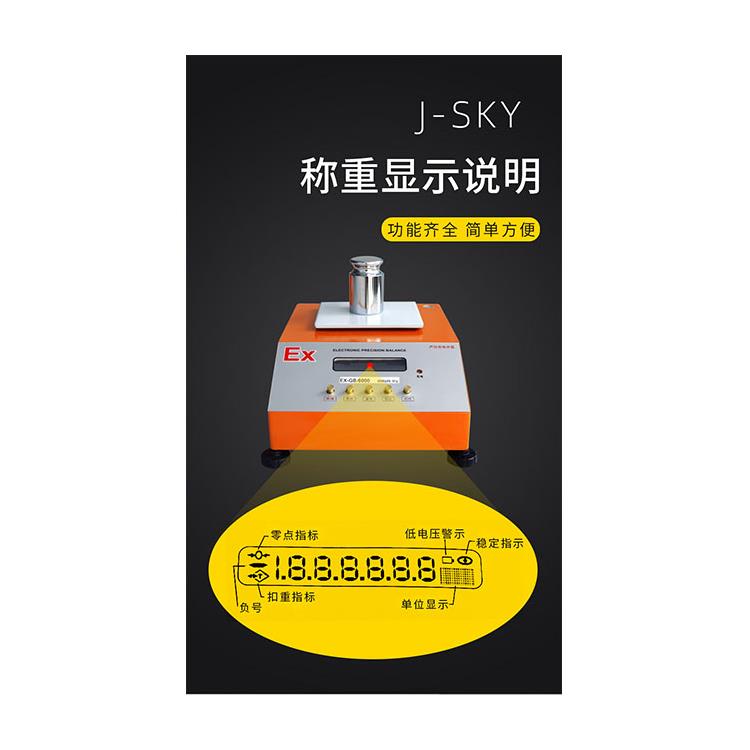 毕节防爆电子秤定做