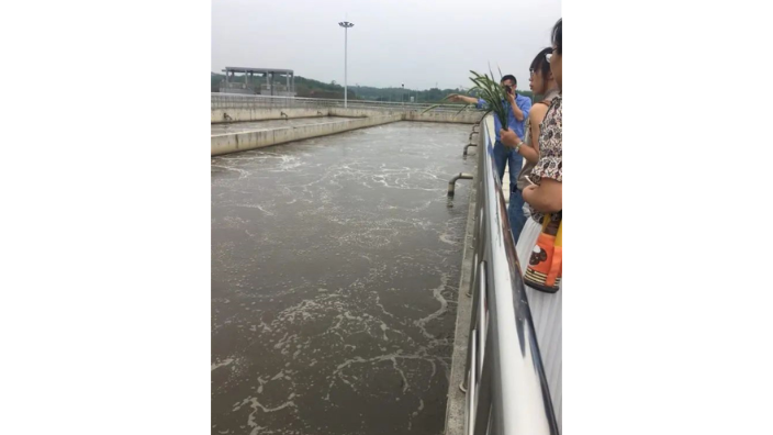 惠州生物总氮去除处理剂 碳之源生物材料供应