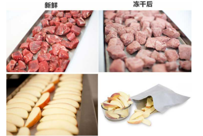 天津茶叶冻干设备 服务为先 临朐易泽环保科技供应