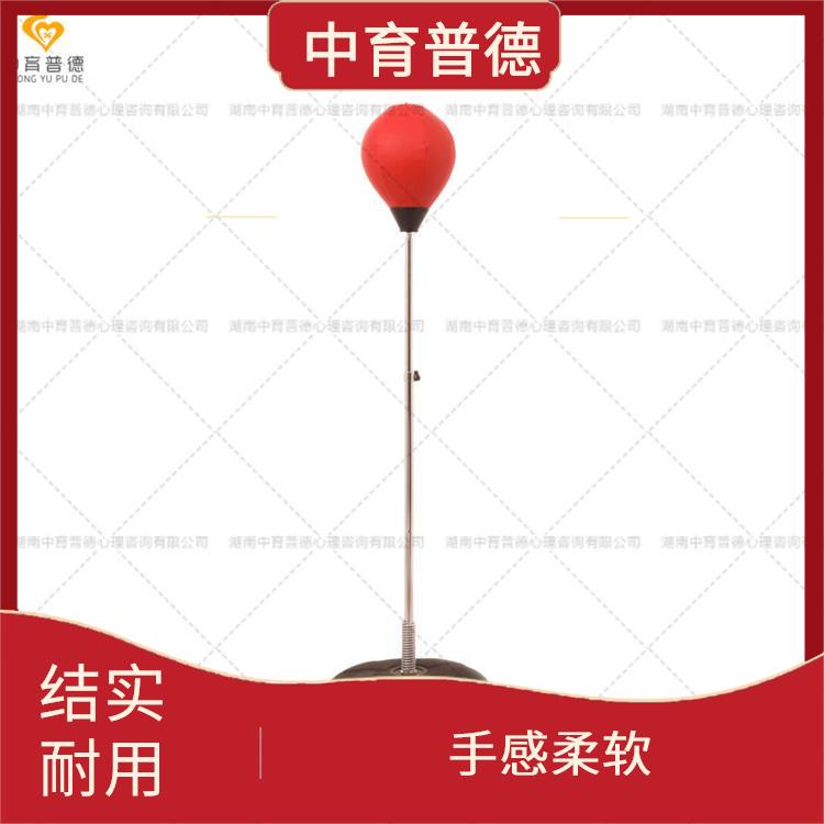 心理设备软硬件生产厂家 安装便捷 仿真效果好