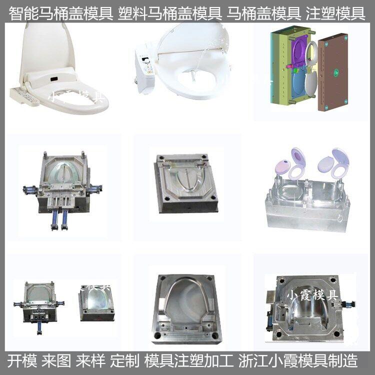 上海智能塑料马桶盖模具厂