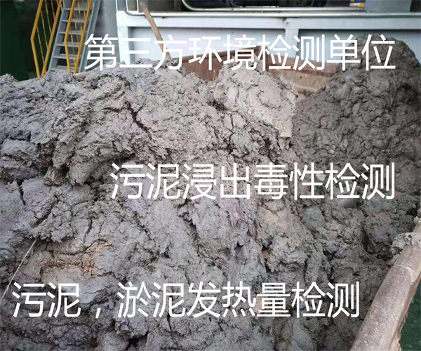 广州市污泥重金属检测 脱水污泥工业分析中心