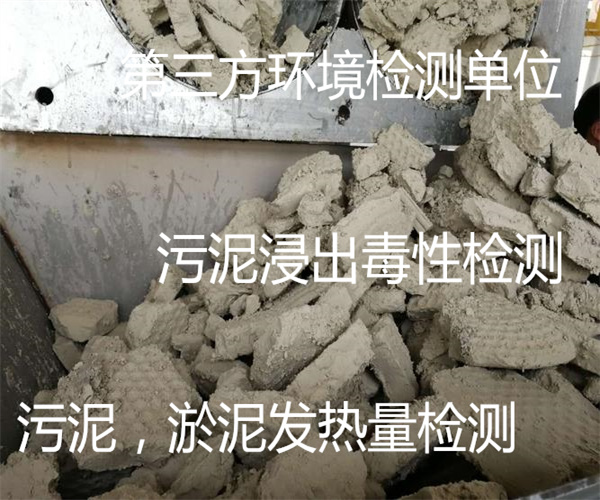 广州市污泥重金属检测 脱水污泥工业分析中心