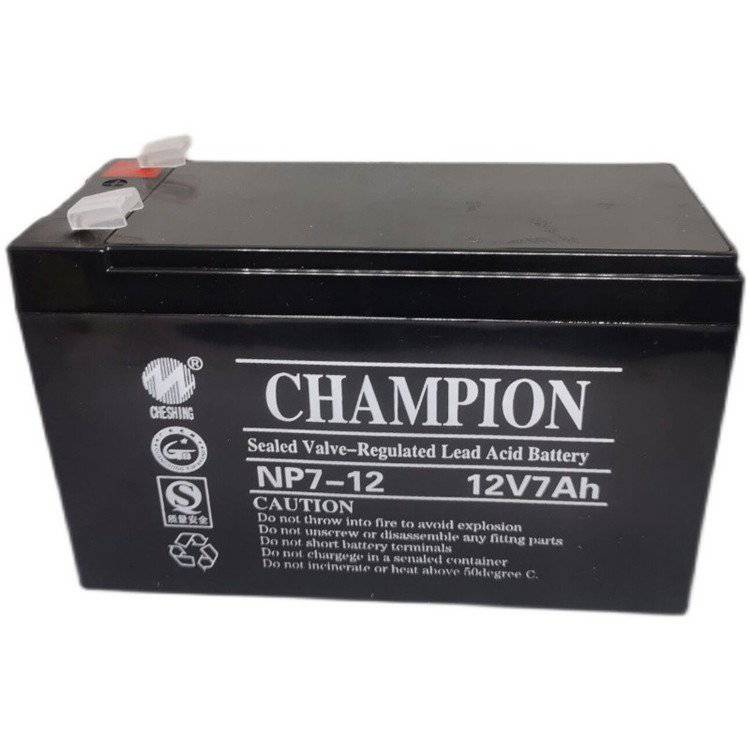 冠军蓄电池NP24-12 12V24AH铅酸免维护阀控式UPS EPS电源延时**