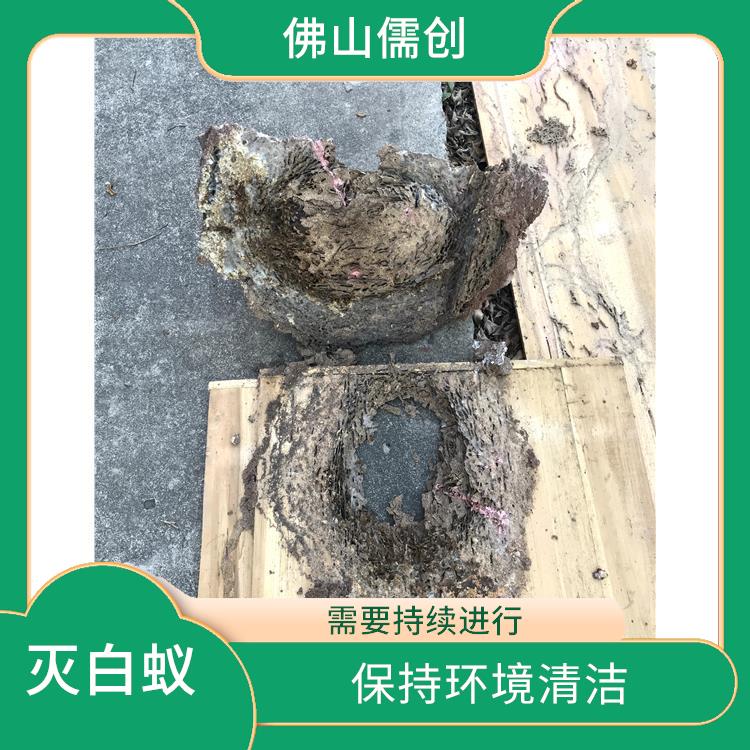 西南街道白蚁防治哪家好 灭蚊虫 需要持续进行