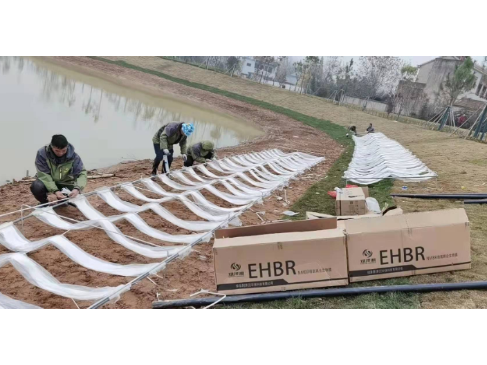 上海污水MABR膜厂家 绿泽源环保供应