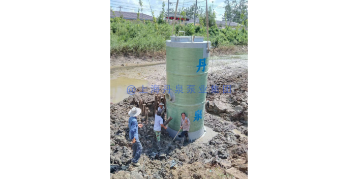 江苏一体化预制泵站哪家信誉好 服务为先 上海丹泉泵业集团供应