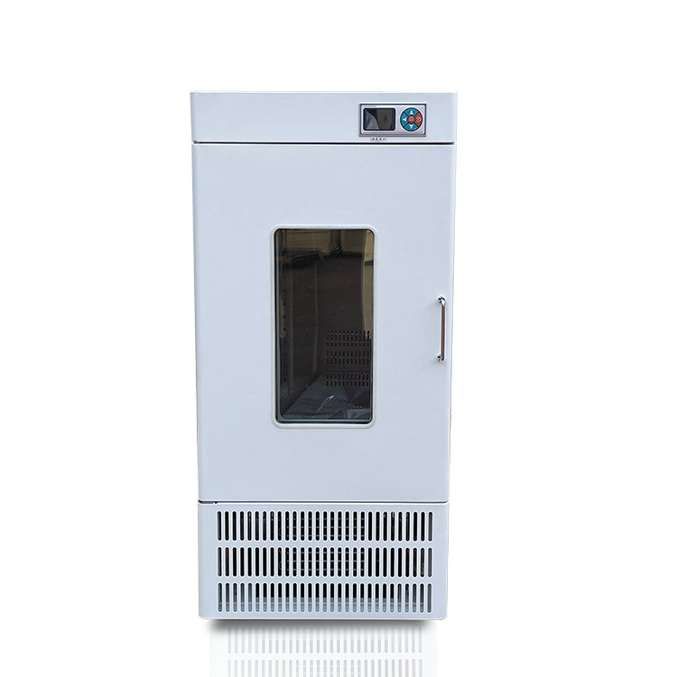 川昱仪器 小型霉菌培养箱MJX-250恒温细菌培养装置