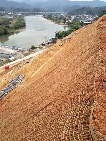 安徽椰棕网土壤保护 福建公路边坡防护椰网 CF网