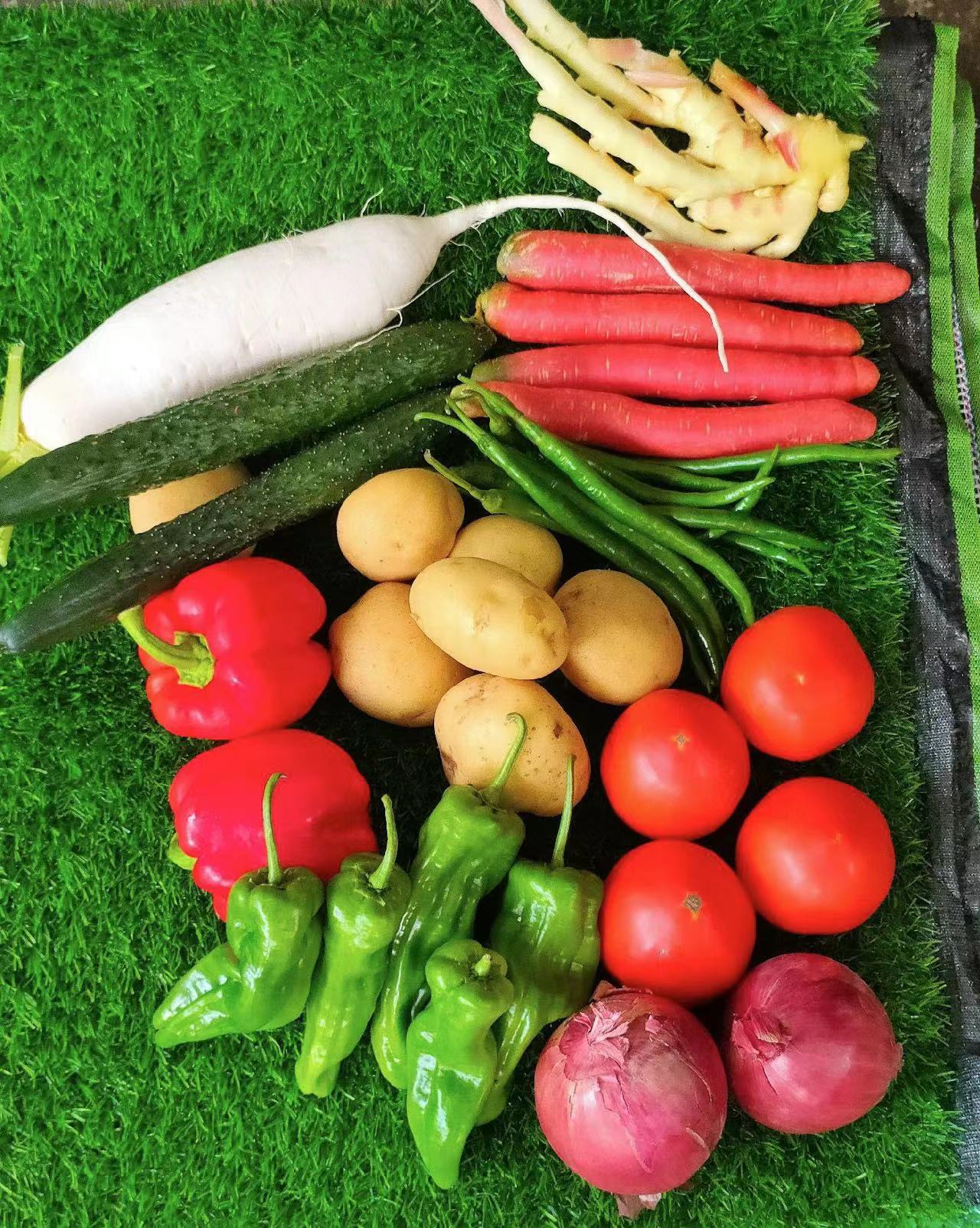 东莞大朗鲜肉配送