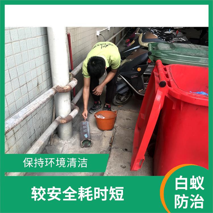 南海桂城街道白蚁预防多少钱 害虫防治 多年消杀经验