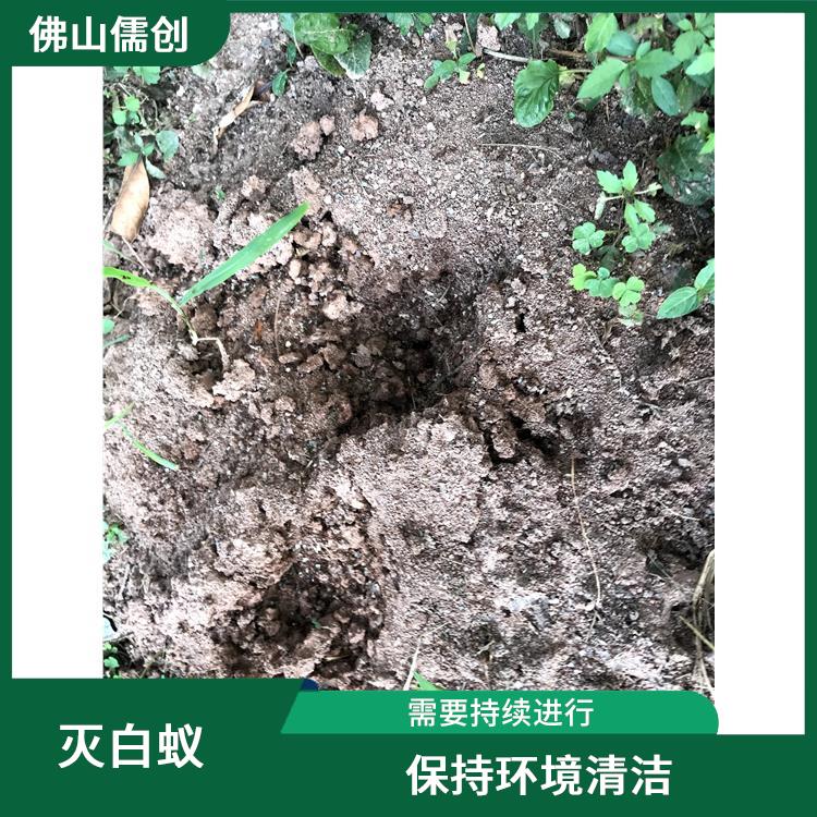 開平白蟻防治哪家好 滅蟑螂 根據實際環境提供相應方案