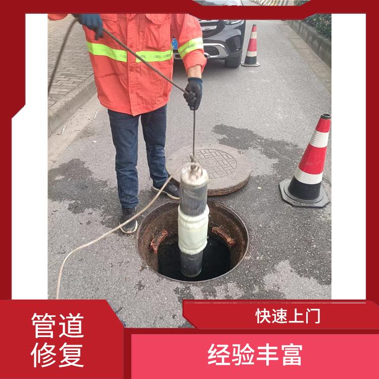 金山区地下管道检测公司 快速上门 施工规范化