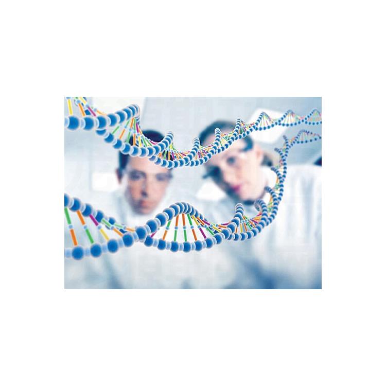 五常公证DNA亲子鉴定医院