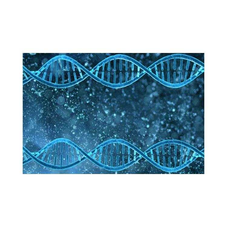 动力区DNA亲子鉴定电话