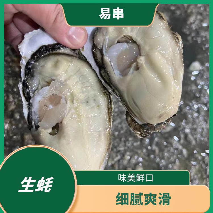 惠州生蚝原产地批发 细腻爽滑 货发全国