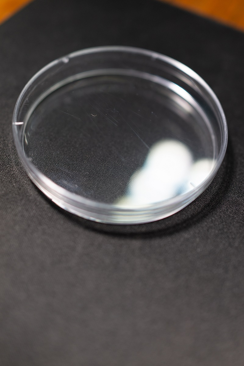 深圳普通医用塑料包装供应商,医用塑料包装