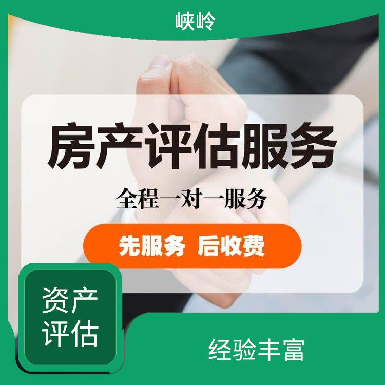 重慶商標資產(chǎn)評估公司 報告嚴謹