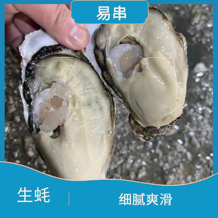 珠海威海生蚝批发市场 营养丰富 肥大肉滑