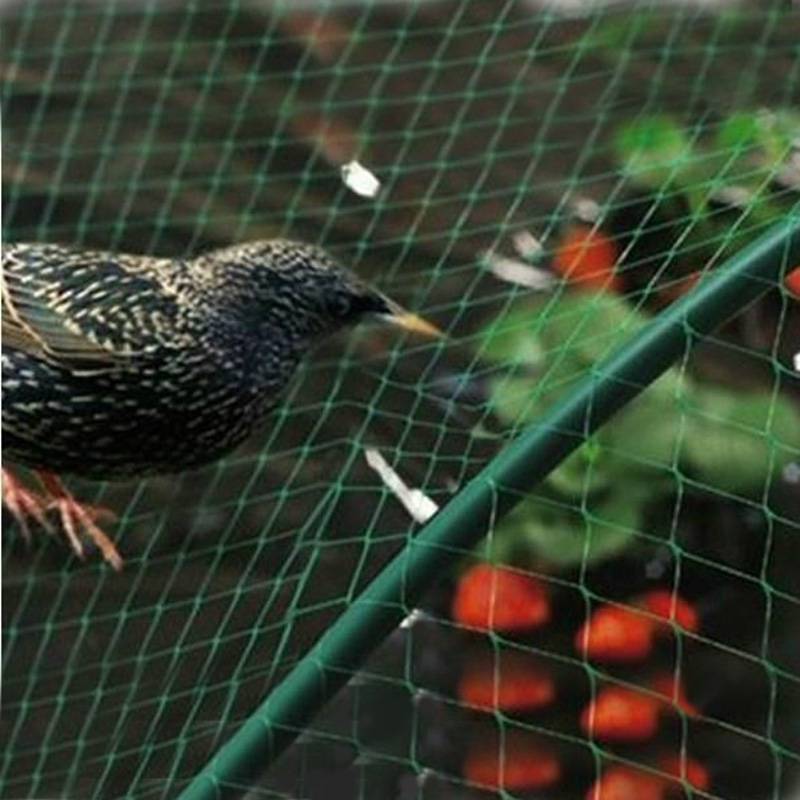 农用网防鸟网 防虫网 温室大棚 葡萄水果蔬菜 防冰雹网 遮阳网