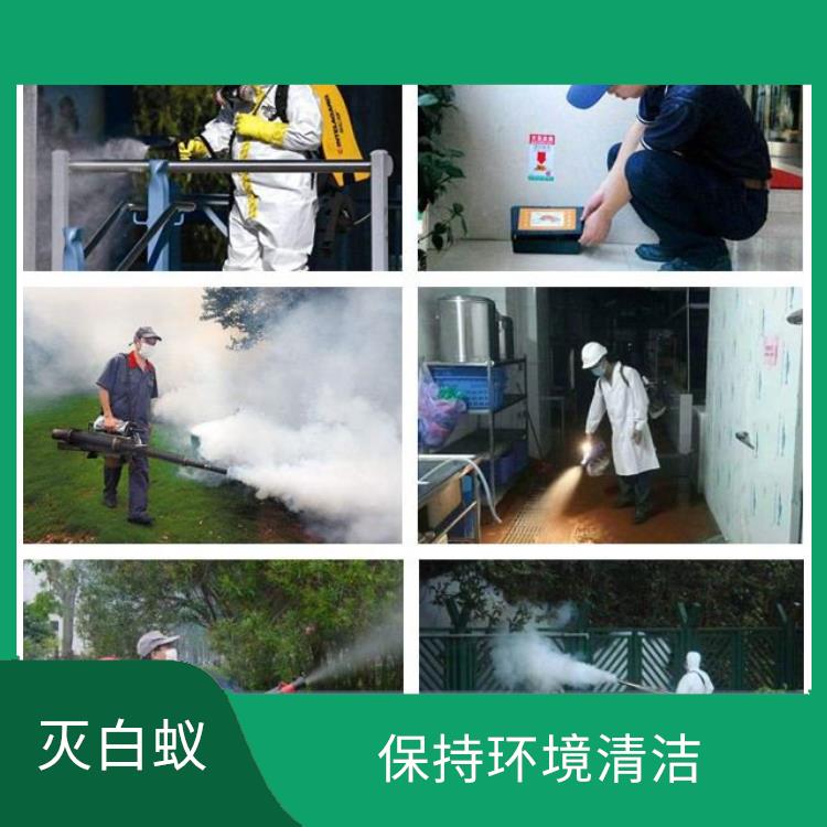 江门鹤山白蚁防治公司 灭苍蝇 可提供定制化方案