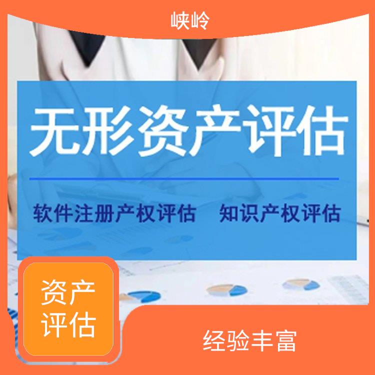 四川**入股资产评估流程 一对一服务 评估流程标准化