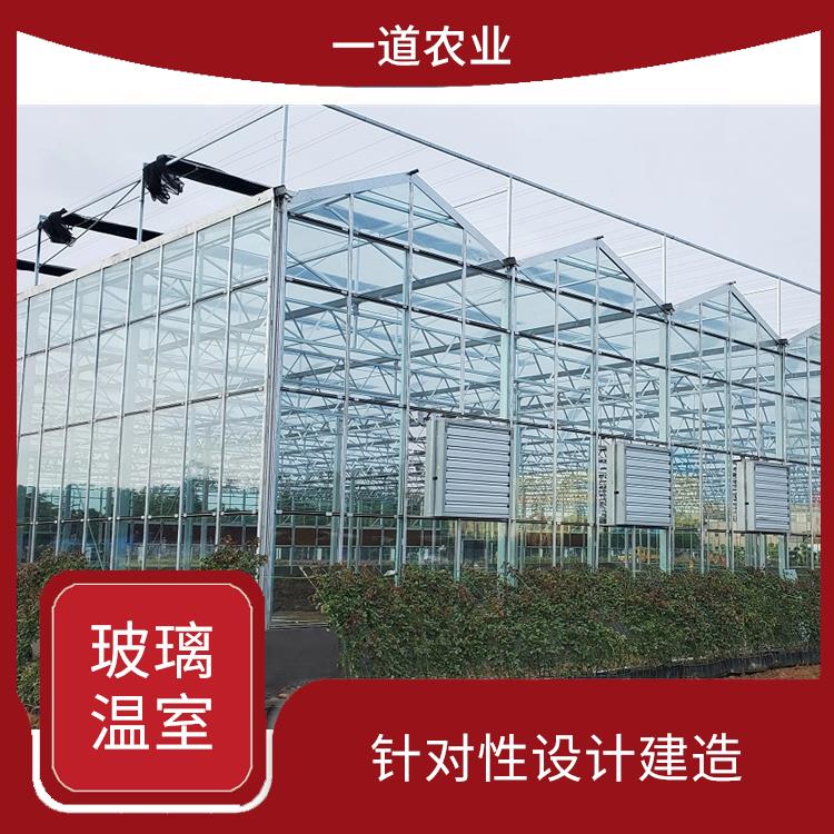 西藏玻璃温室大棚 维护方便 施工安装简易