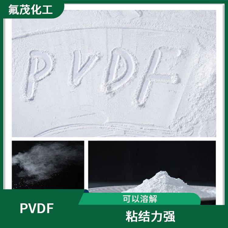 PVDF粉 耐溫 耐腐蝕 揮發(fā)物含量低