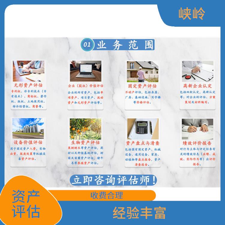 四川发明技术资产评估哪家好 全程标准化操作 多年评估经验