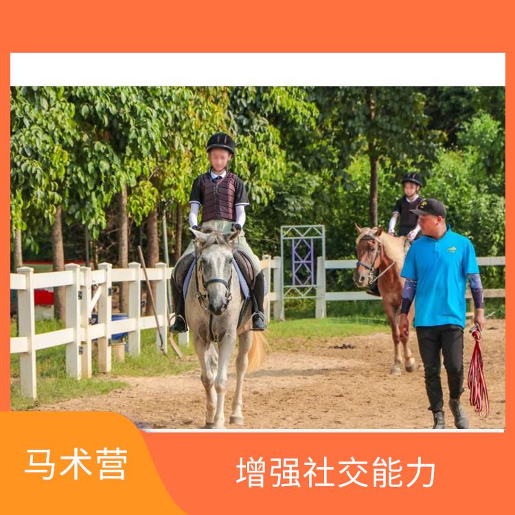 深圳国际马术营 培养兴趣爱好 培养孩子的团队合作精神