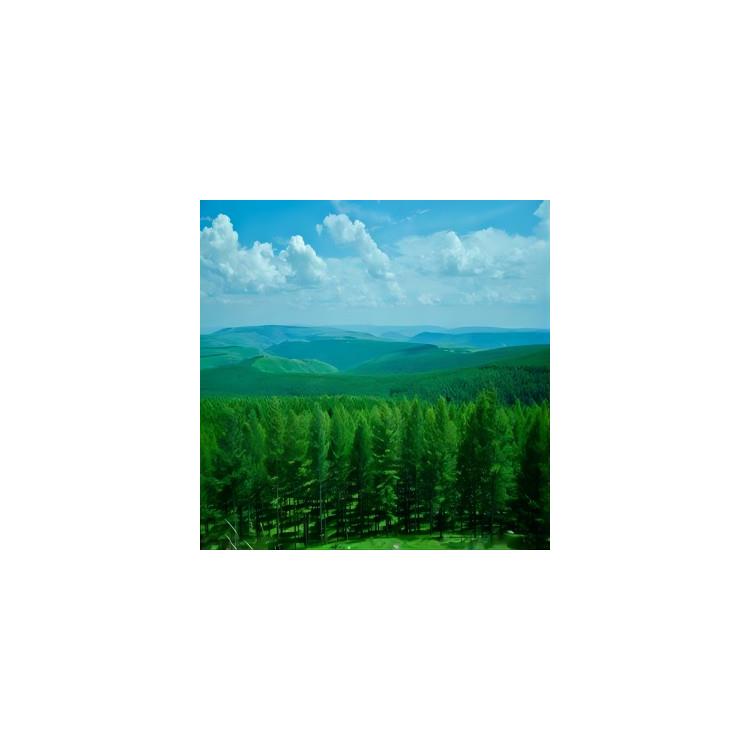 FSC认证审核类型 促进森林可持续发展