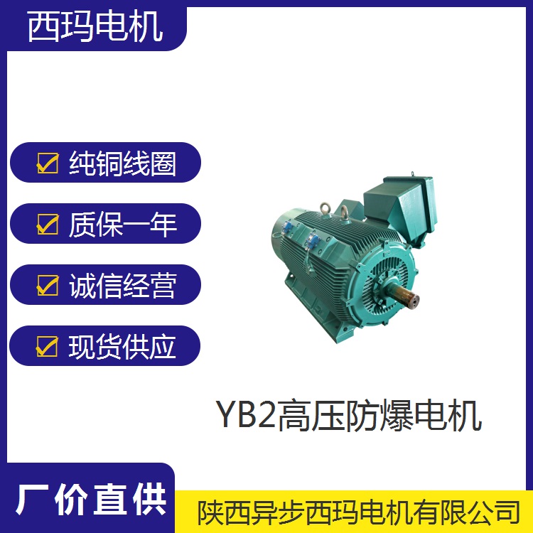 煤电钻配套电机|YB2-5004-2/800千瓦|10KV防爆电动机