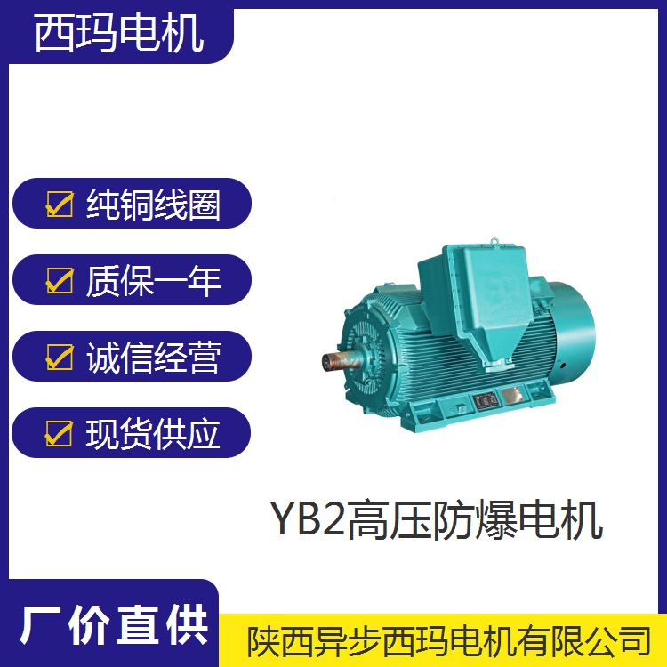 索道车配套电机|YB2-5002-2/630千瓦|11000V防爆电机