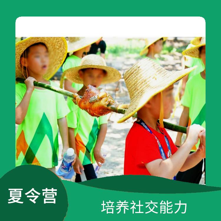 广州山野少年夏令营 培养兴趣爱好 培养社交能力