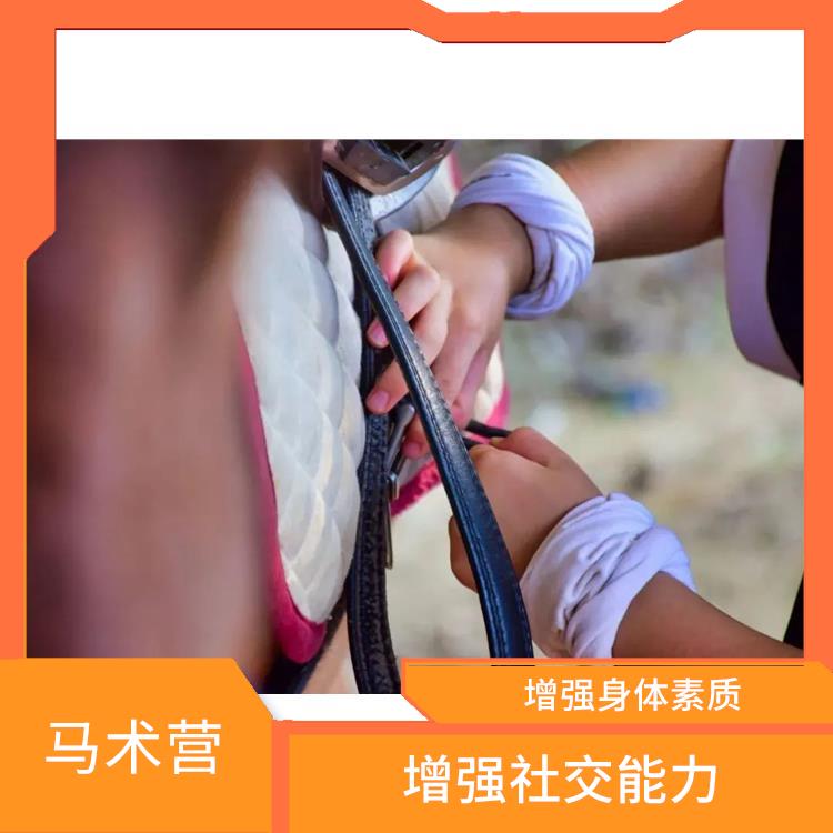 深圳国际马术营 开阔眼界 培养团队合作精神