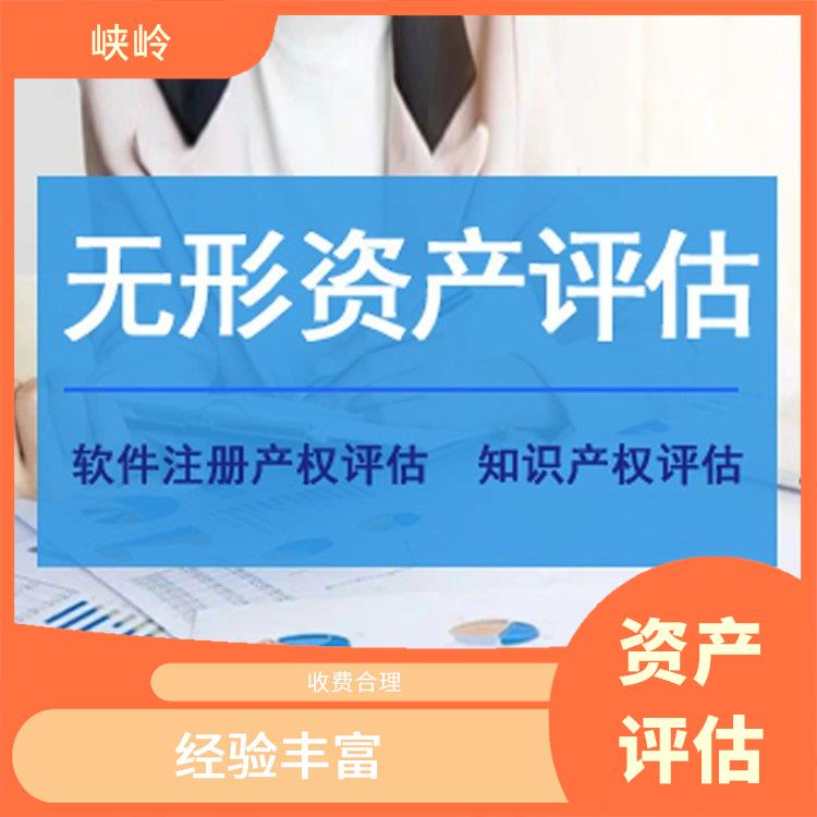 发明技术资产评估公司 报告严谨 服务完善