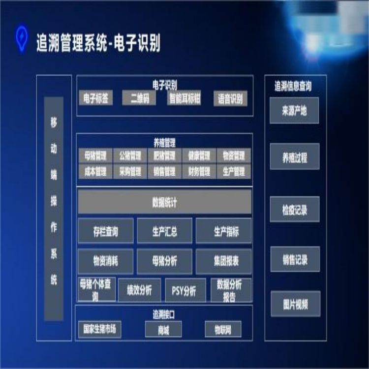 合肥屠宰类管理软件报价