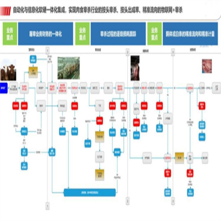 丽水屠宰类管理软件厂家