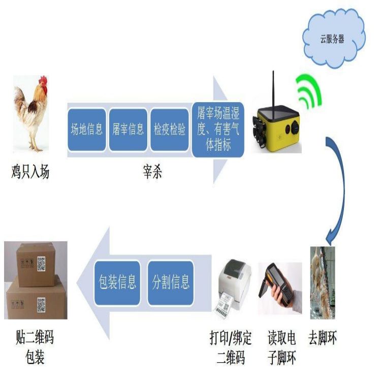 六安屠宰厂管理软件厂