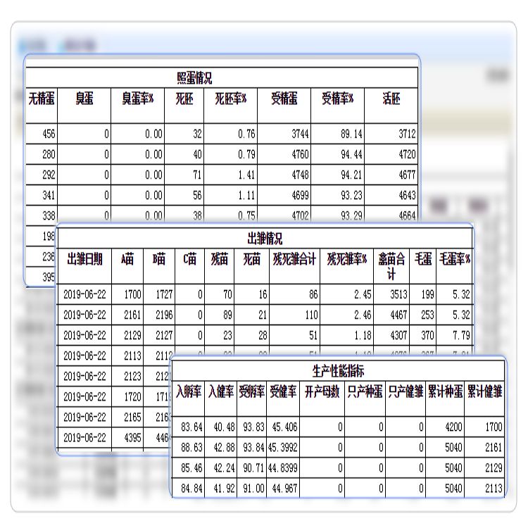 金华屠宰场管理软件厂