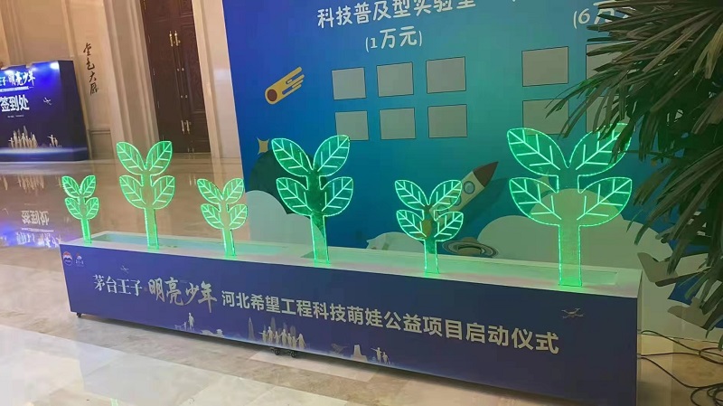 南京6米树苗启动道具各类仪式庆典启动道具出租租赁