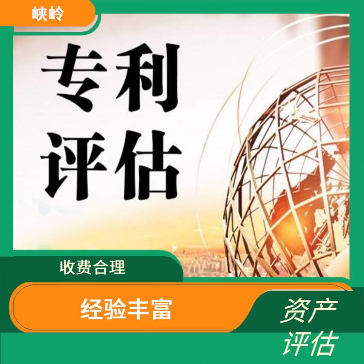 四川商标资产评估排名 多年评估经验 经验丰富