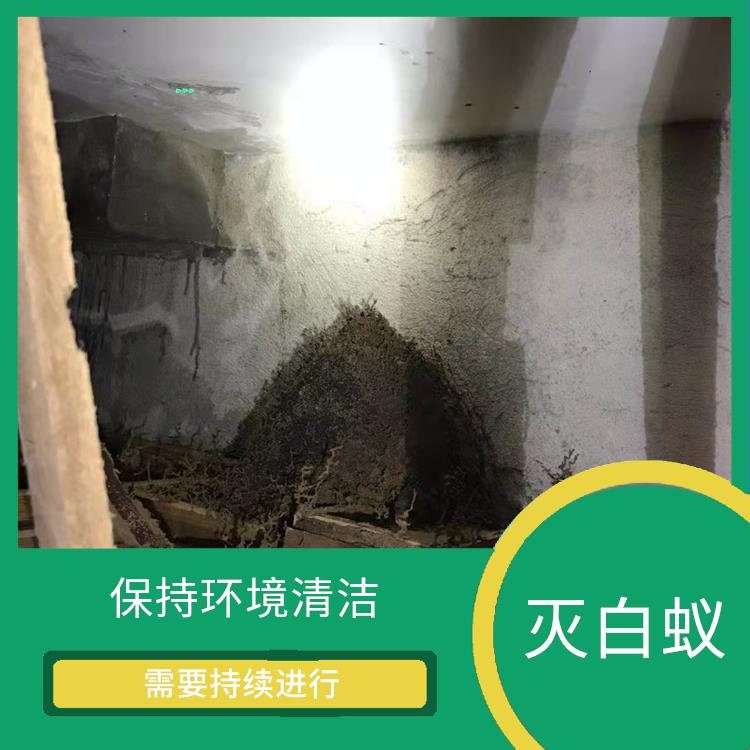 佛山禅城区灭白蚁公司 白蚁工程 科学消杀 售后无忧