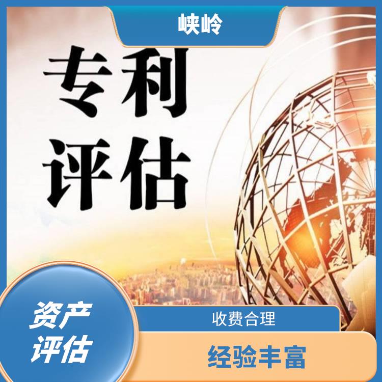 重庆发明技术资产评估流程 评估效率高 可靠性较高